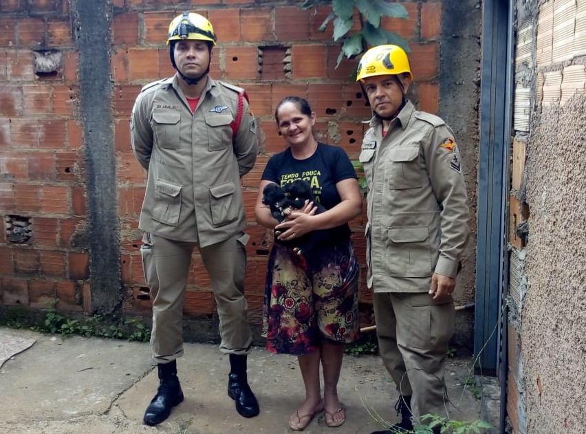 Filhotes de cachorro são resgatados após caírem em fossa, em Luziânia