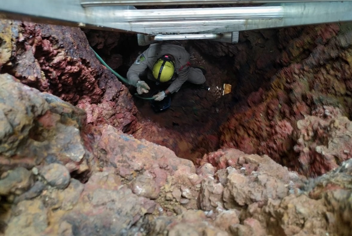 Filhotes de cachorro são resgatados após caírem em fossa, em Luziânia