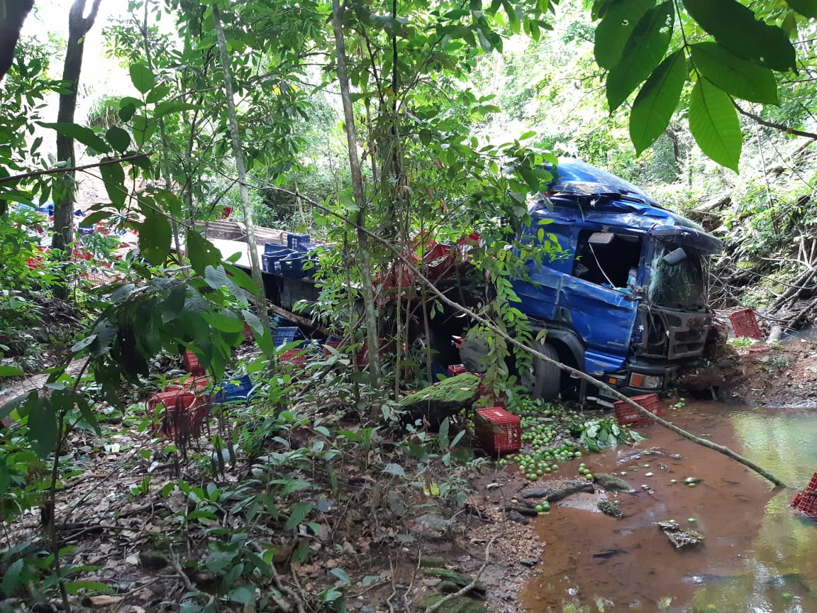 Caminhão que transportava limões e abacates cai em ribanceira e condutor morre
