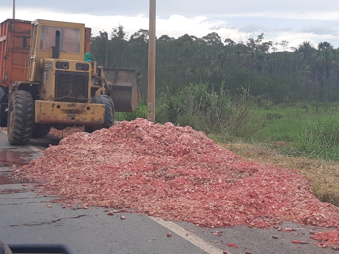 Caminhão derrama vísceras de frango e BR-080 fica interditada