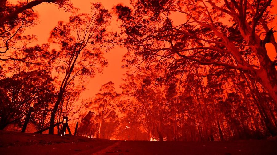 O período de estiagem chegou e incêndios são mais comuns nesta época do ano