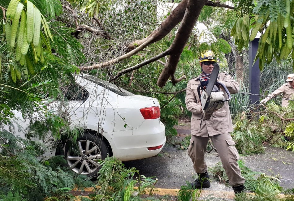 (Foto: Reprodução)