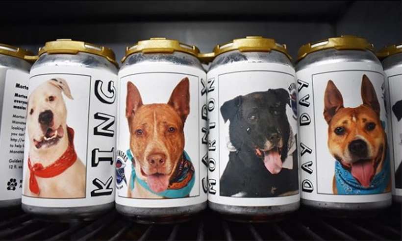 Mulher encontra cadela desaparecida há três anos após ver anúncio em lata de cerveja