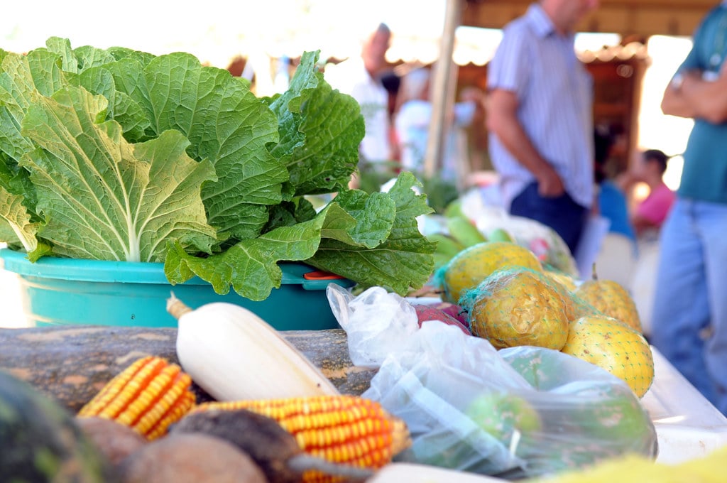 Produtos brasileiros são expostos na maior feira de orgânicos do mundo