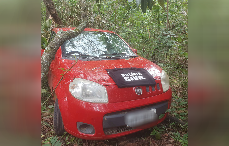 (Foto: Divulgação / PC)