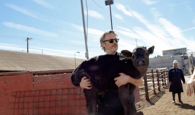 Joaquin Phoenix mata animas em matadouro nos EUA