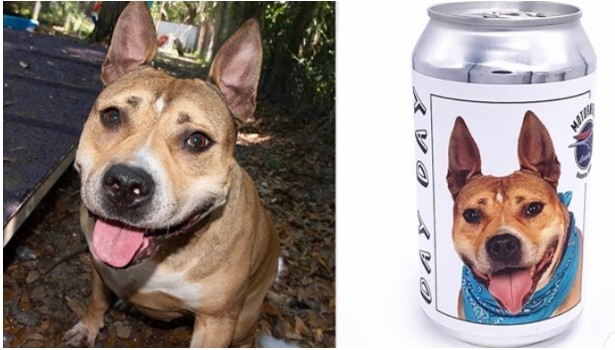 Mulher encontra cadela desaparecida há três anos após ver anúncio em lata de cerveja