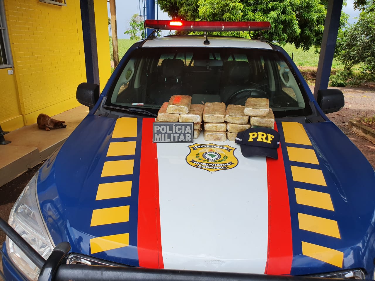 Estudante universitário é preso por tráfico de drogas na BR-364, em São Simão