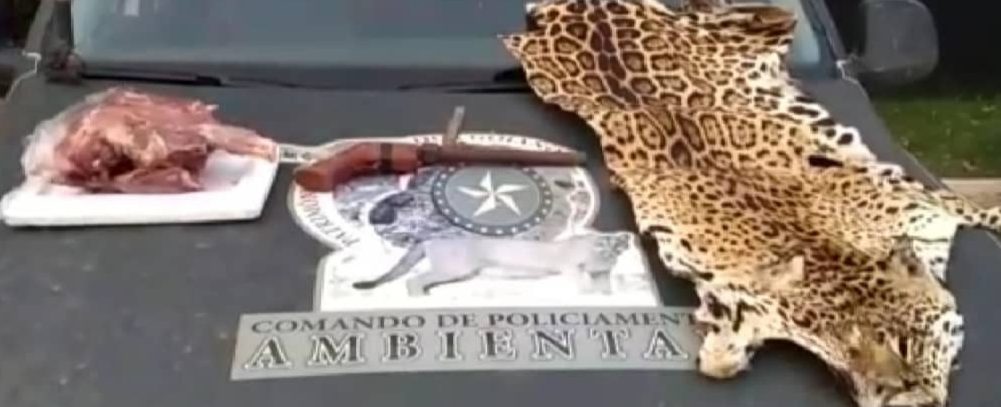 Homem é preso por caça, na região rural de Campinorte