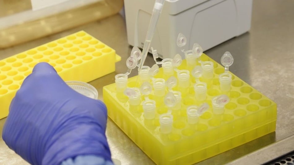 (Foto: Reprodução)