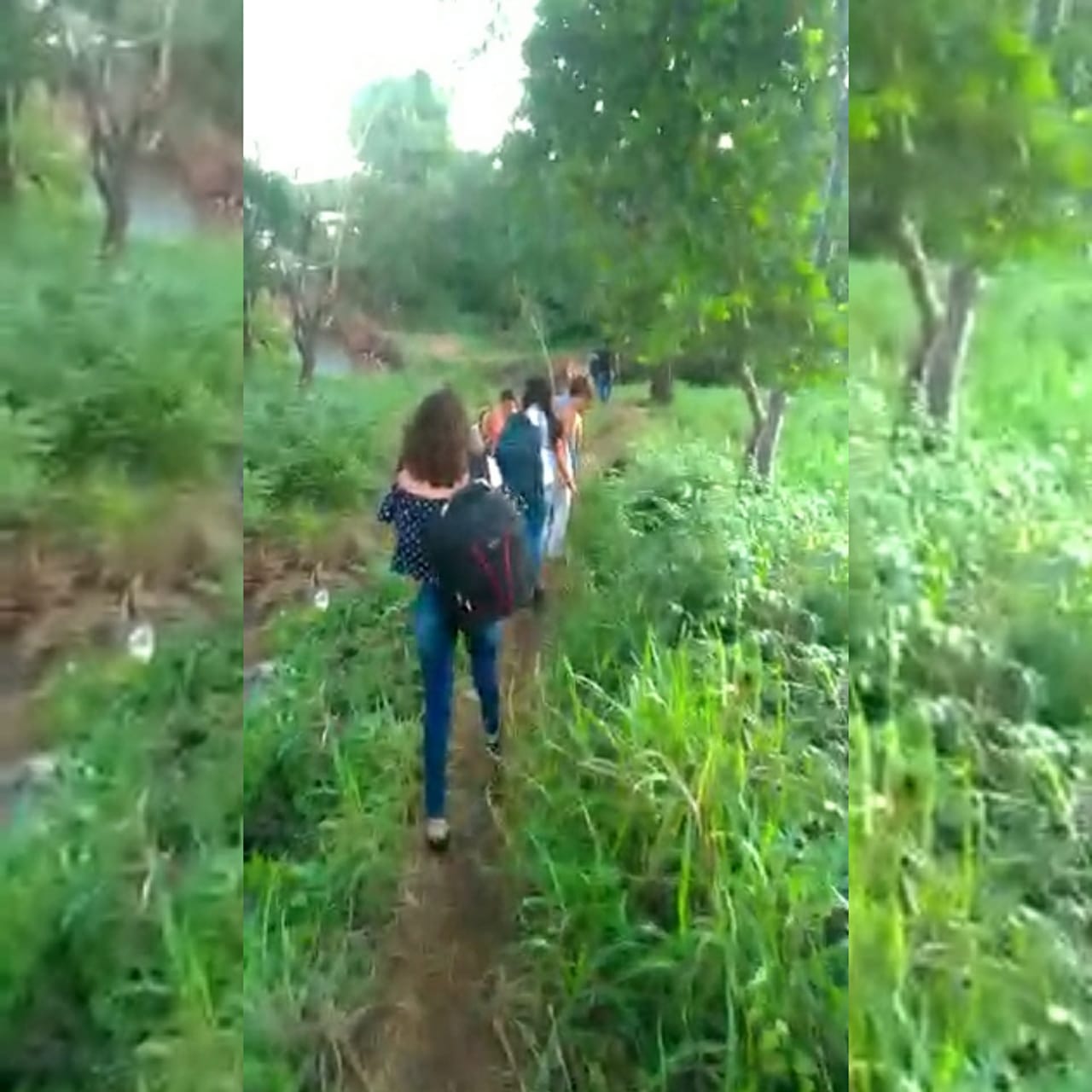 Travessia a pé e no mato. Essa tem sido a alternativa de estudantes que precisam chegar à faculdade em Iporá após rompimento de bueiro na GO-060. (Foto: reprodução)