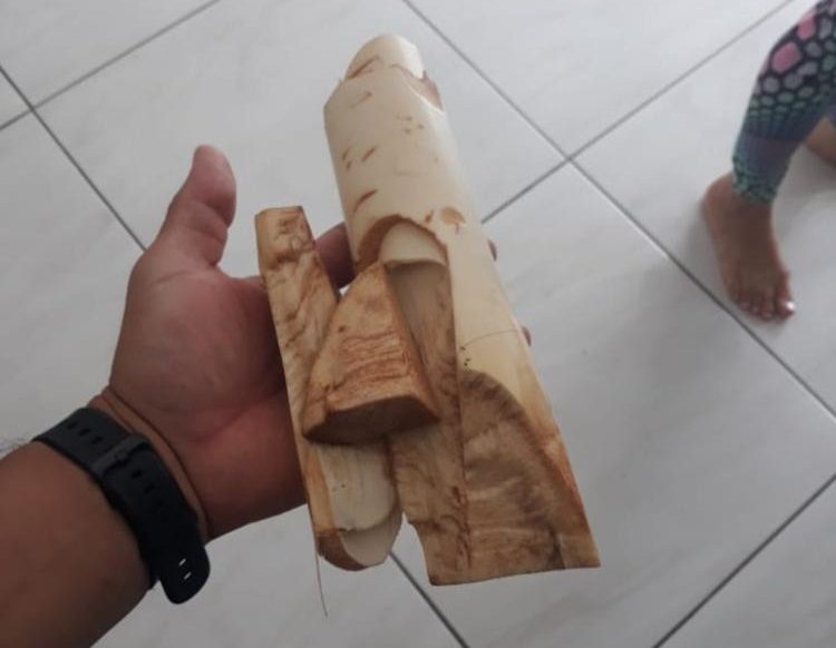 Filho não descasca guariroba, pai se enfurece e vai parar na delegacia de Goianésia