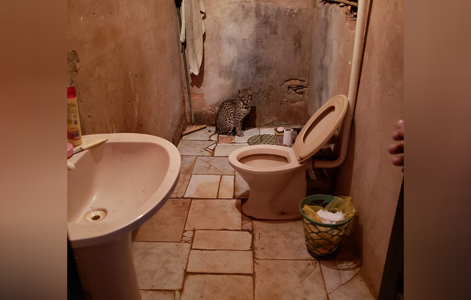 (Foto: Reprodução / Corpo de Bombeiros)