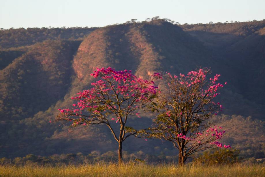 Governo promove concurso de fotografias em comemoração aos 50 anos do Parque Estadual Serra de Caldas