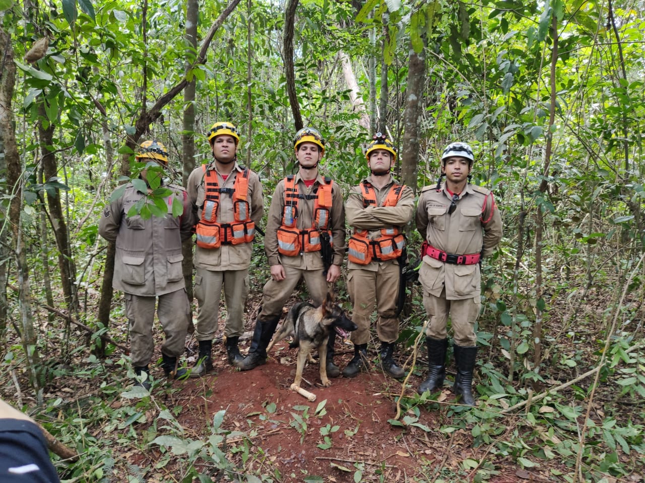 Cães e Bombeiros localizam cadáver em mata fechada