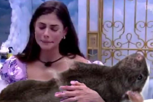 Rato do BBB 20 ganha Instagram e já tem mais seguidores que ex-participantes