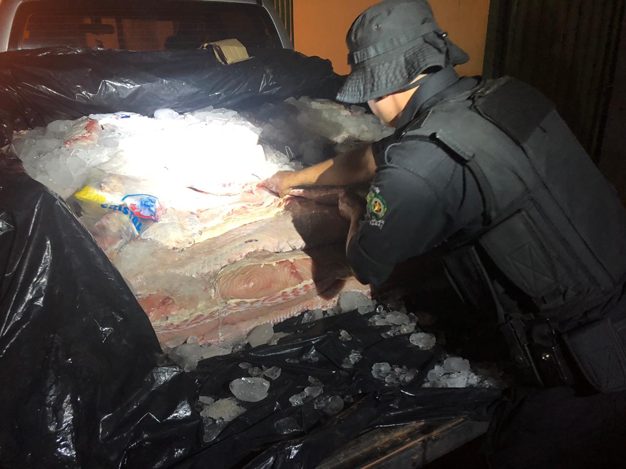 Mais de meia tonelada de pescado ilegal foi apreendida na GO-454, entre os municípios de Nova Crixás e Mozarlândia, na sexta-feira (1º). (Foto: Divulgação/PM)