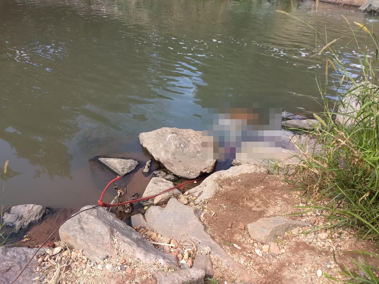 Bombeiros encontram o corpo de um homem no córrego cascavel, em Goiânia