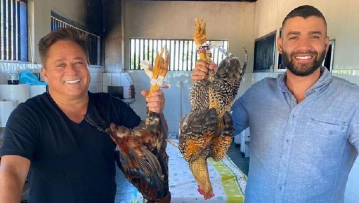 Gusttavo Lima responde com palavrão àqueles que criticaram foto com animais mortos