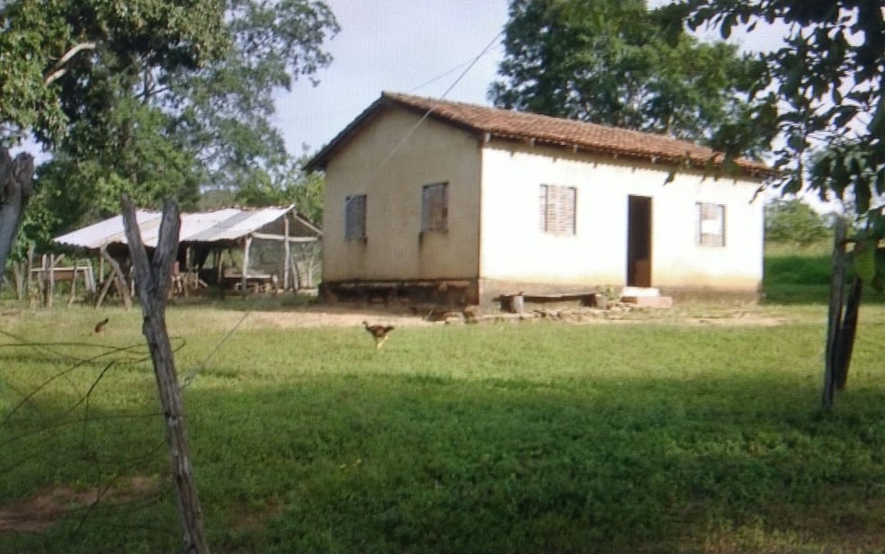 Idoso é encontrado morto e laudo aponta ataque de animal de grande porte, em Vila Propício. (Foto: reprodução/TV Anhanguera)