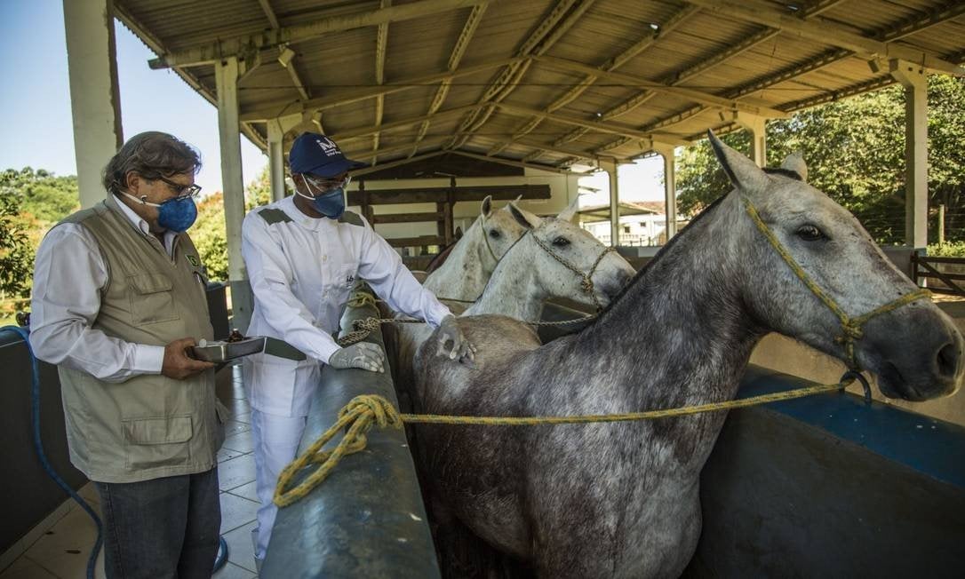 (Foto: Agência O Globo)