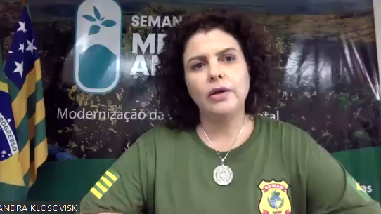 Secretária Andréa Vulcanis (Foto: Reprodução)