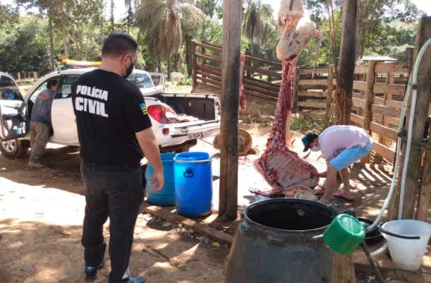 Abatedouro clandestino que funcionava em São Miguel do Araguaia (Foto: Polícia Civil)