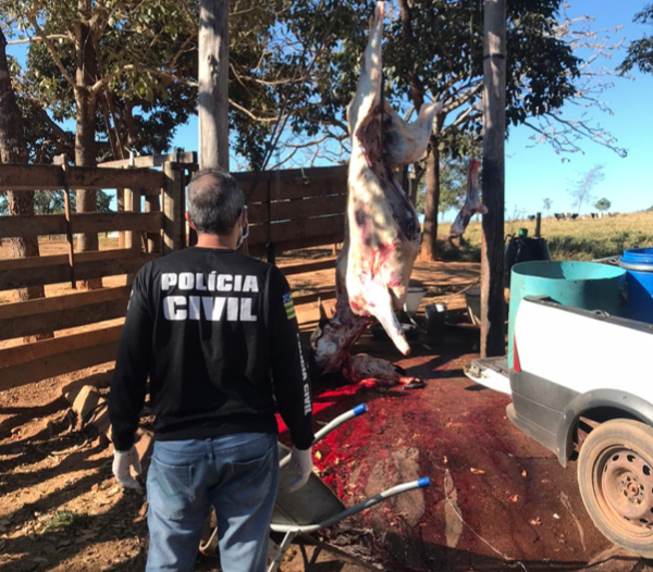 Abatedouro clandestino descoberto pela fiscalização da Decon e da Agrodefesa em São Miguel do Passa Quatro (Foto: Polícia Civil)