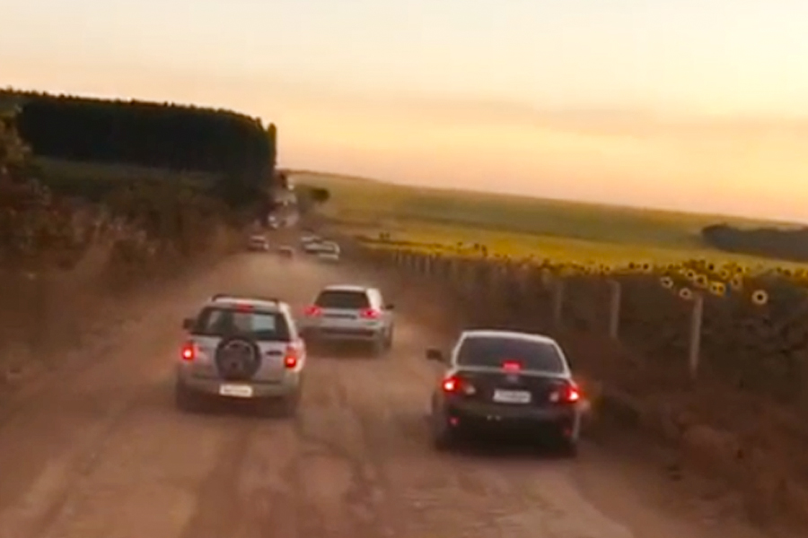 Polícia foi acionada para conter invasões, mas o estrago - estimado em 15% da plantação - já havia sido feito (Foto: reprodução/Internet)