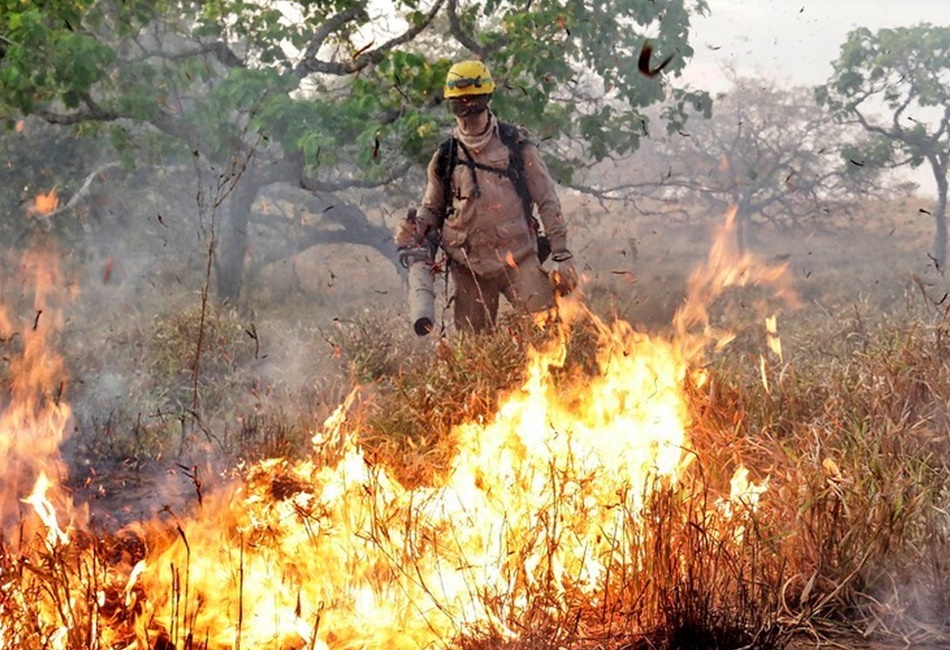 Casal é levado para delegacia após colocar fogo em lote de Aparecida