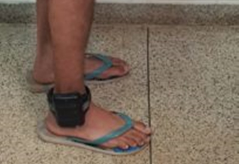 Durante prisão por suspeita de aluguel de armas de fogo, PC descobre rinha de galos, em Formosa