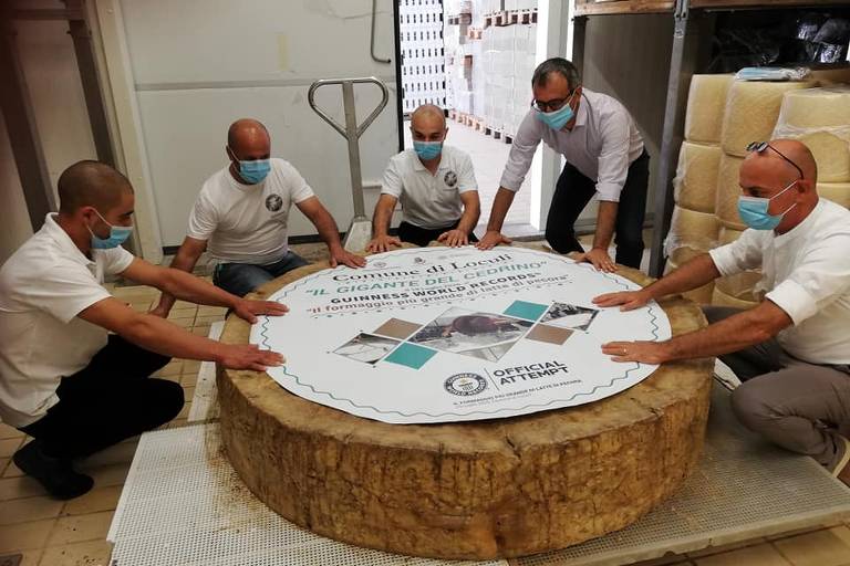 Maior queijo do mundo tem quase 600 kg; confira imagens