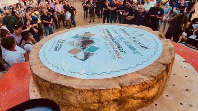 Maior queijo do mundo tem quase 600 kg; confira imagens