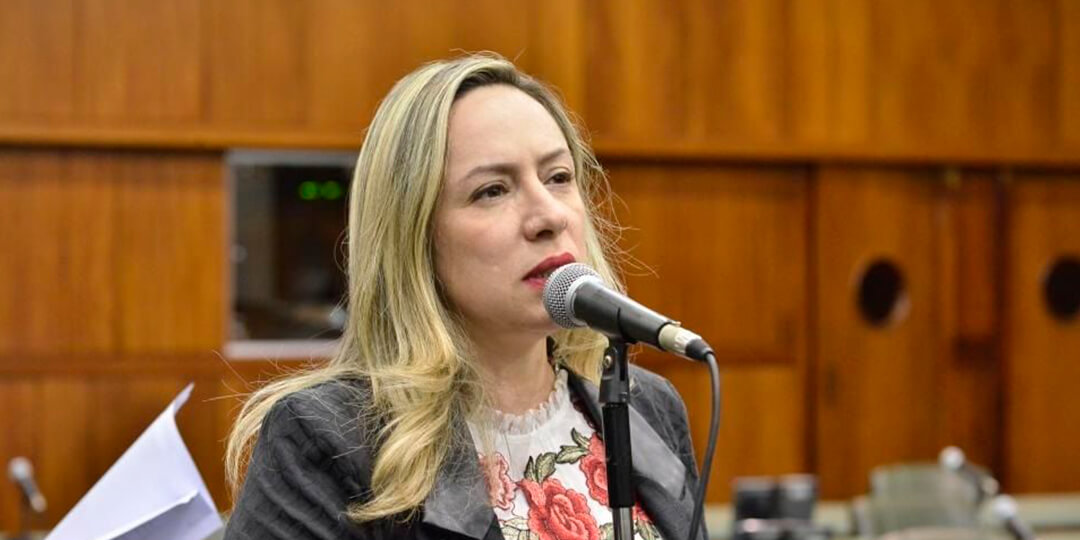 Deputada defende presença obrigatória de intérpretes em delegacias para atender mulheres surdas, em Goiás (Foto: Portal Alego)