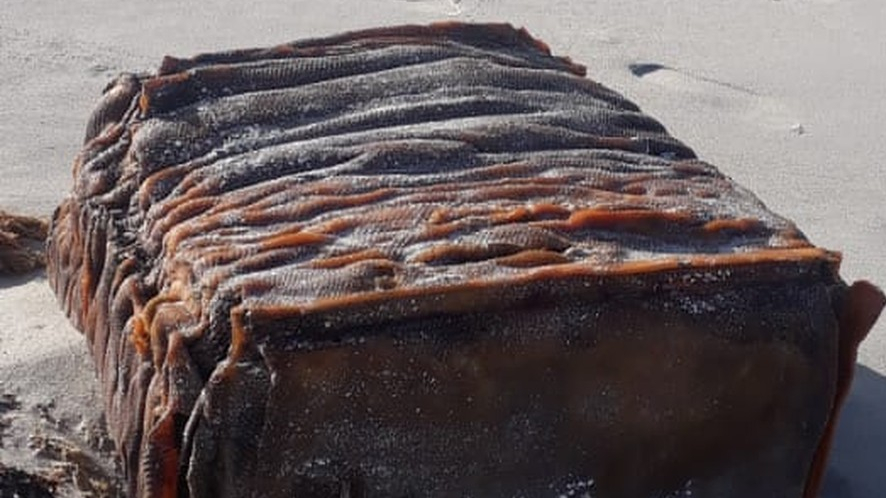 Caixa misteriosa aparece em praia nordestina