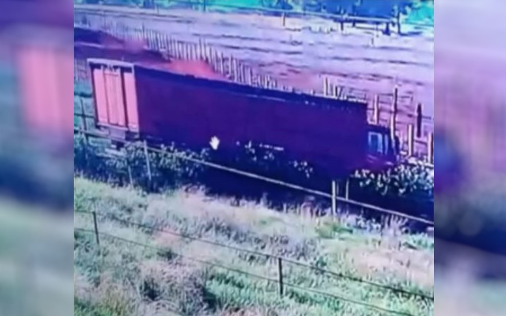 gado-cabeças-fazendeiro