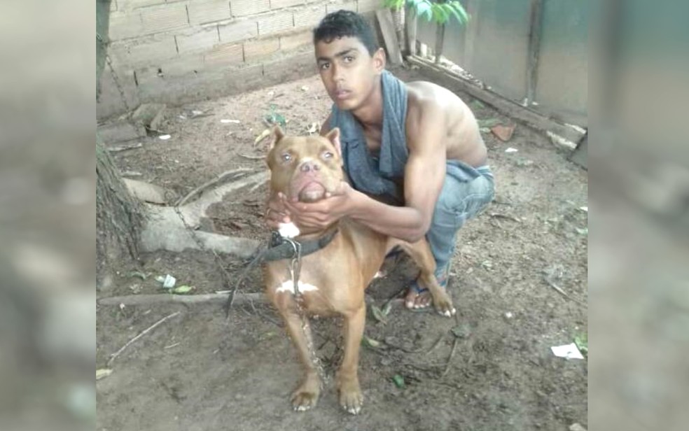 O adolescente que teve 80% do corpo queimado após levar choque elétrico morreu em Goiânia. (Foto: reprodução/ TV Anhanguera)