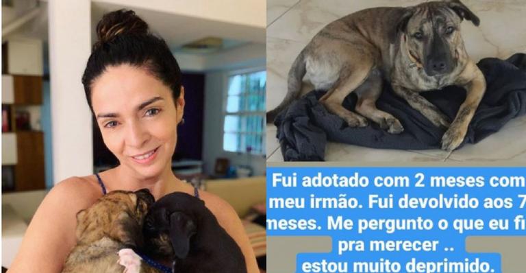 Claudia Ohana causa revolta após devolver cães que havia adotado de ONG cachorros