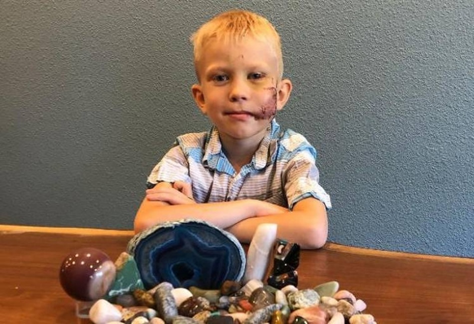 Chris Evans envia vídeo a garoto que salvou a irmã de ataque de cachorro; assista