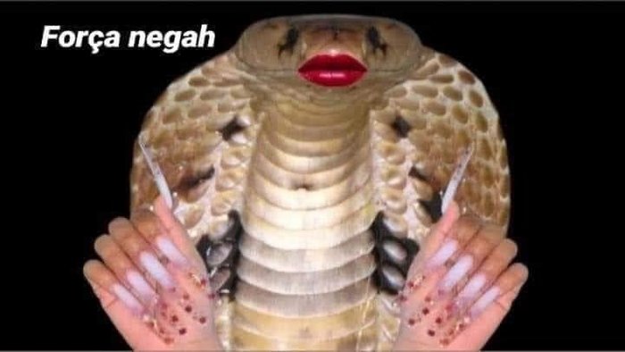 twitter naja cobra meme