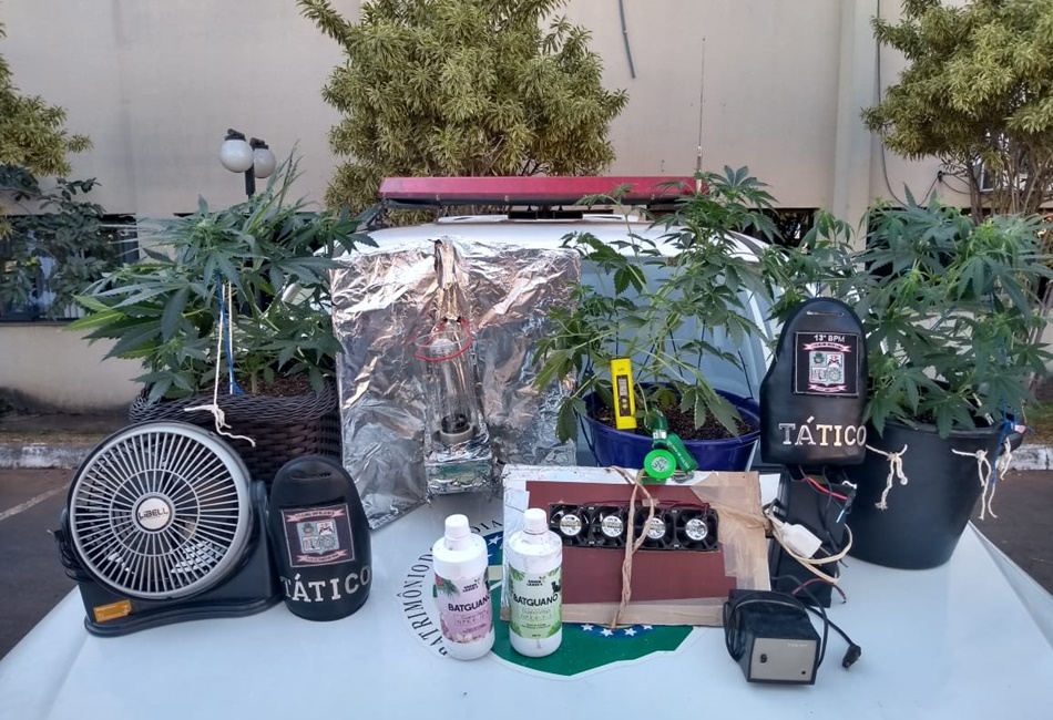 Foragido da Justiça é preso com plantação de maconha no Jardim Primavera