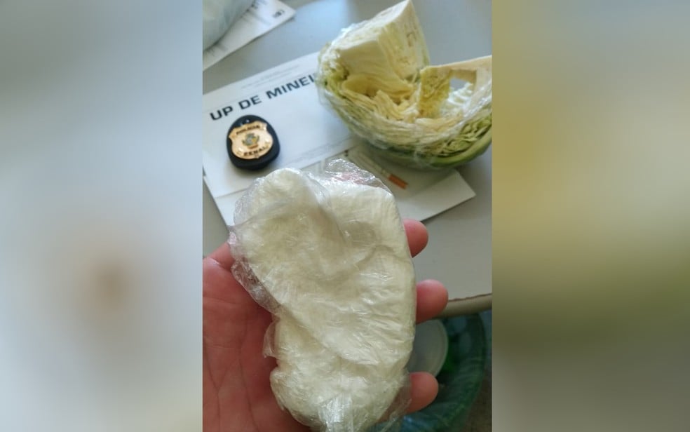 (Foto: Divulgação / DGAP)