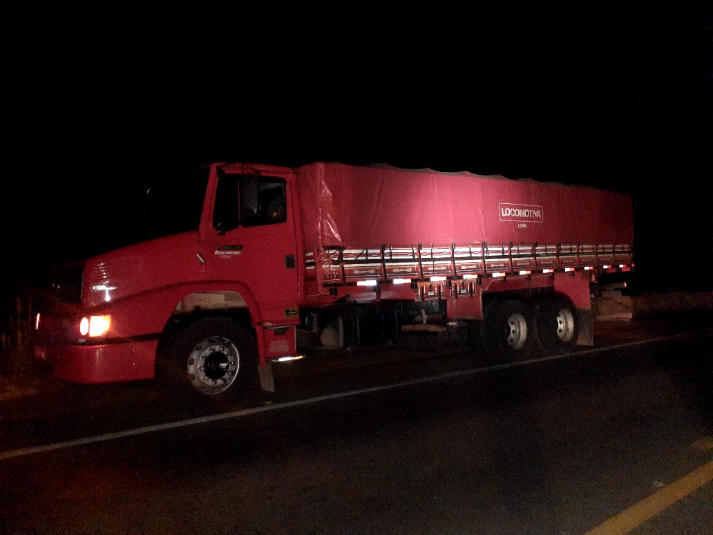 PM apreende caminhão que carregava madeira ilegal
