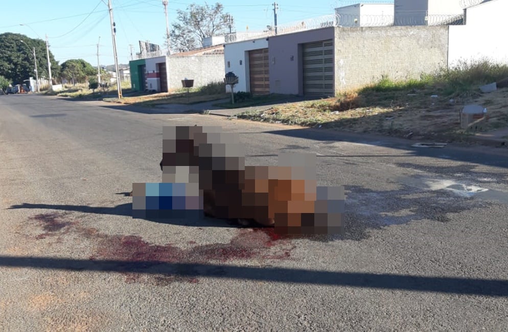 Acidente entre moto e cavalo deixa trânsito parado no Residencial Paulo Estrela, em Goiânia