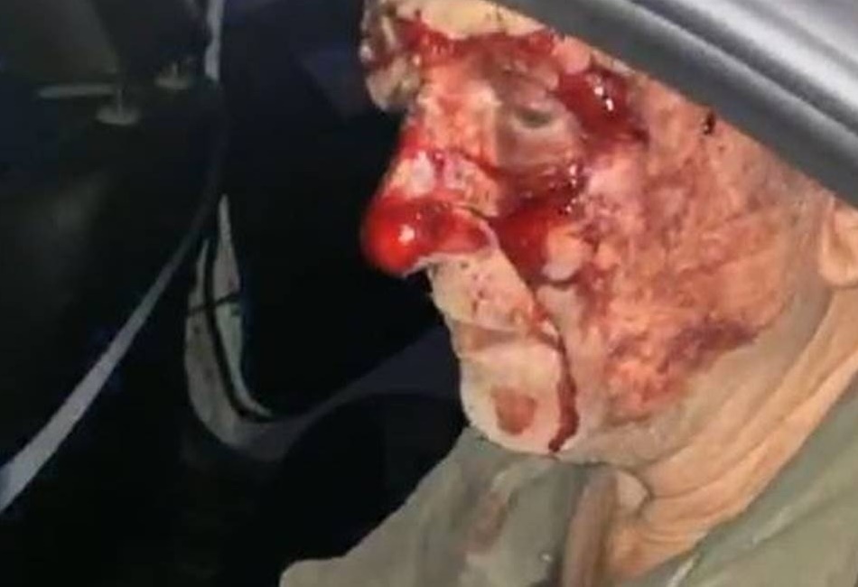 (Foto: Divulgação)