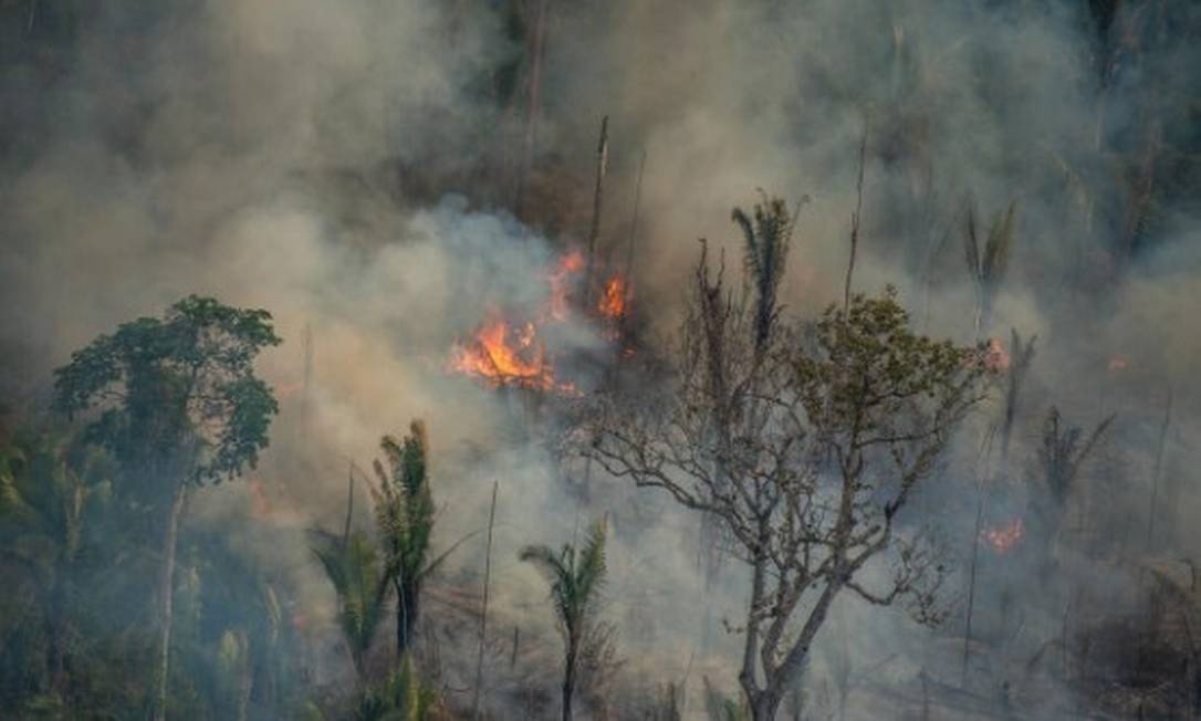 Queimada na Reserva Extrativista Jaci-Paraná, em Porto Velho Foto: Christian Braga/Greenpeace