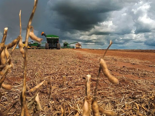 Agronegócio pode tirar Goiás da crise já no próximo ano