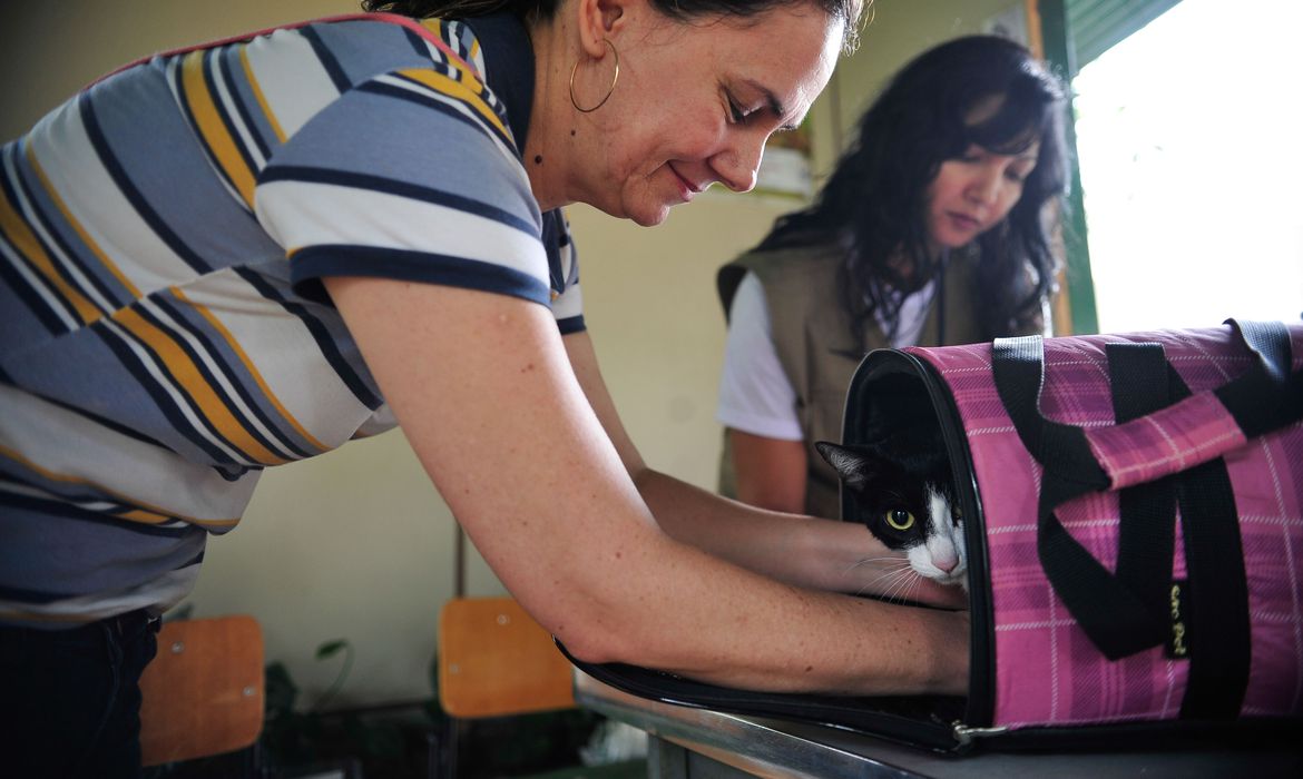 O Senado aprovou hoje (9) um projeto de lei (PL) que aumenta as penas para quem maltratar cães e gatos.(Foto: Marcelo Camargo/Agência Brasil)
