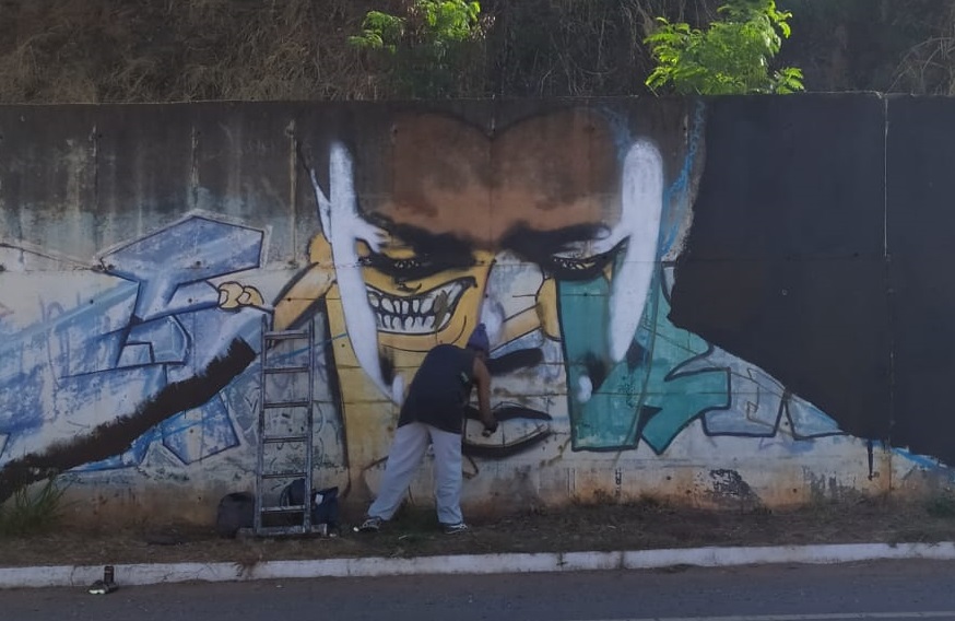 Artista goiano pinta mural de 'Pantera Negra' na Marginal Botafogo