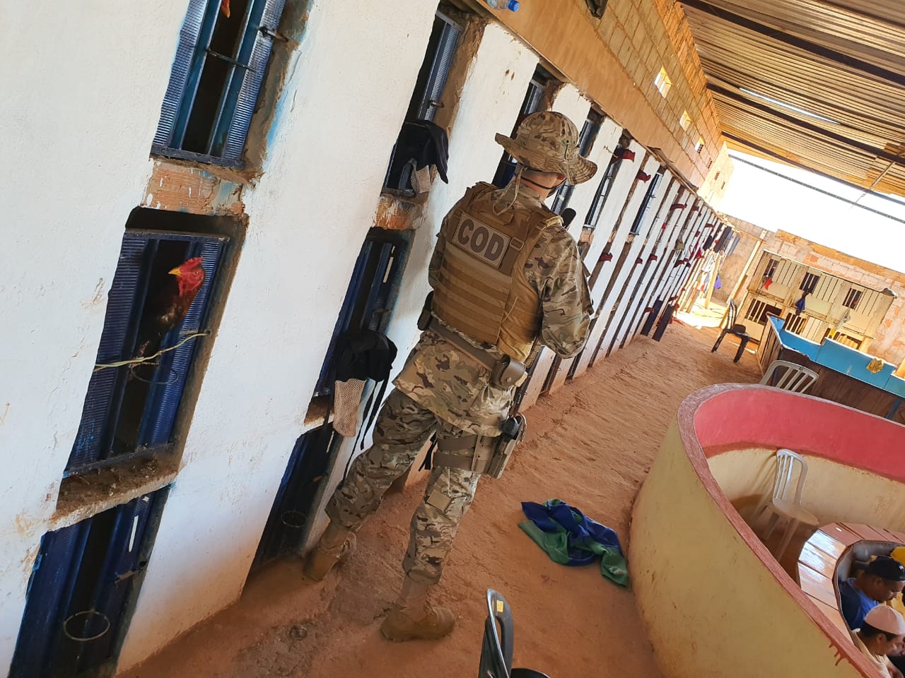 A Polícia Militar (PM) prendeu 20 pessoas envolvidas com rinha de galo em Planaltina de Goiás (Foto: divulgação/PM)